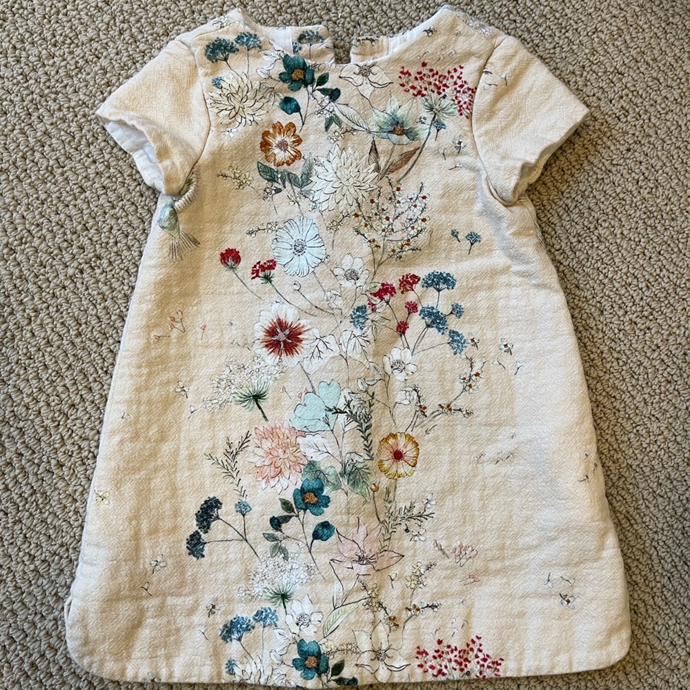 Toddler zara dress